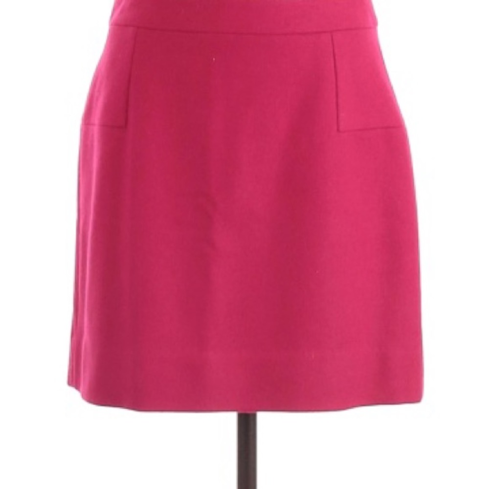 NWT: J. Crew Fuchsia Skirt